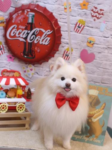 20230905おまるくん